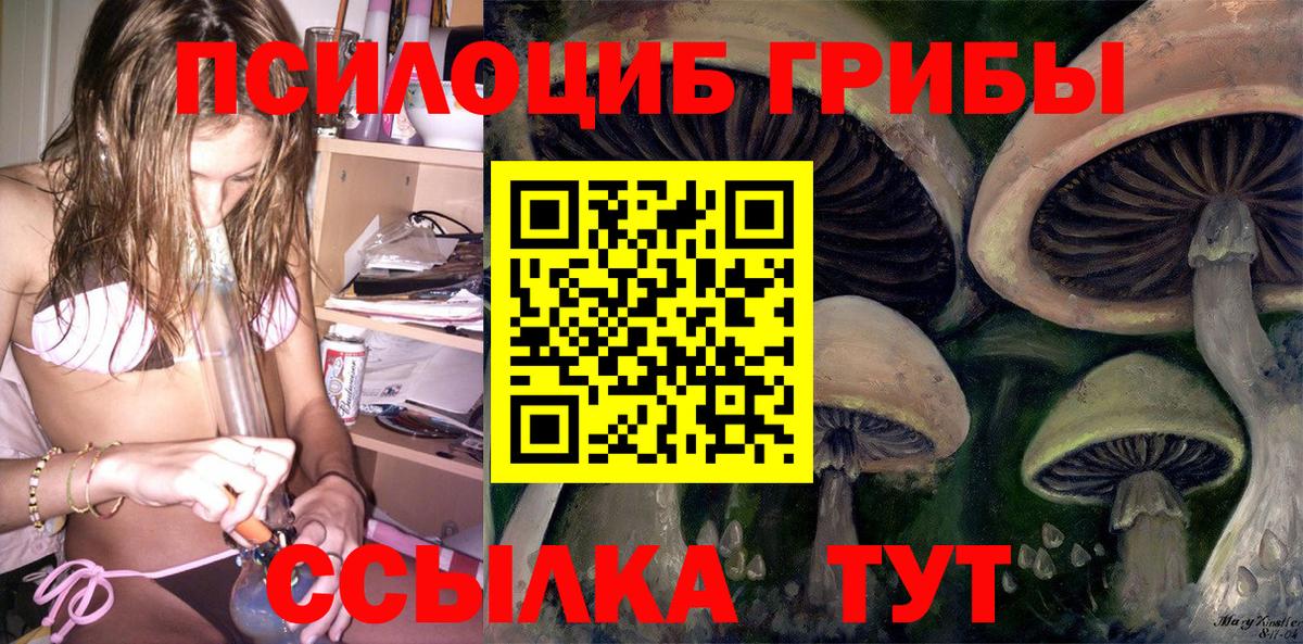 Галлюциногенные грибы мицелий Серов