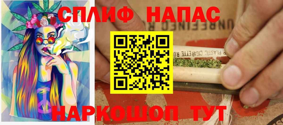 Канабис семена  Каннабис сатива  Конопля гибрид  Серов  Шишки марихуана THC 21%  Вход с VPN 